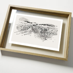 altiplano Gorafé ¬ avec cadre