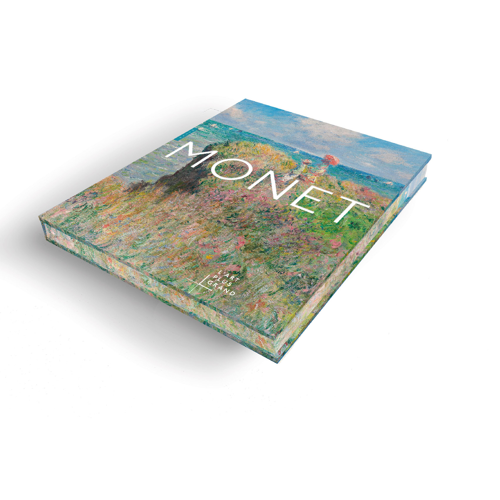 monet ok 3D